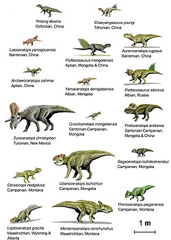 Species of Ceratopsia dinosaurs, by Nobu Tamura