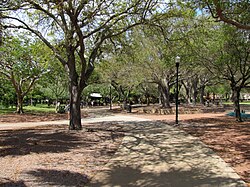 Largo Central Park, Largo, Florida, 10 March 2024.jpg (credit: Theo Worrall)