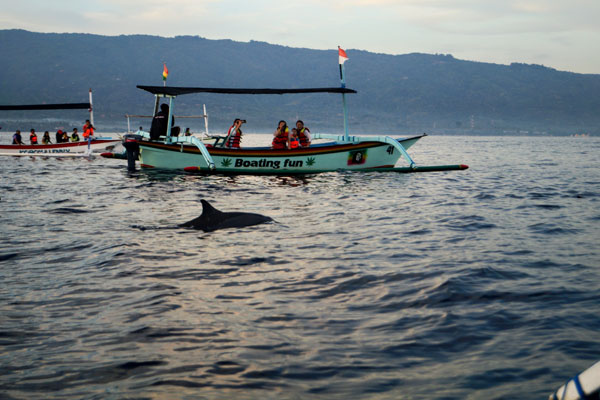 lovina-beach-dolphin-watch-sunrise